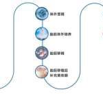 合肥供卵三代试管婴儿生男孩的医院排名？