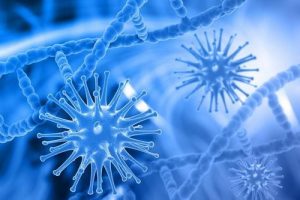 染色体异常做三代试管费用(助孕服务中心)