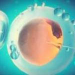 2023年北京协和医院第三代试管包生男孩价格多少? 2023年北京协和医院第三代试管包生男孩价格多少?