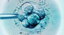 【每日热点】长沙子宫切除三代试管能成功吗