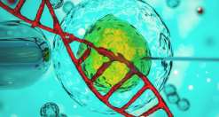 广西助孕合法公司？广西三代试管婴儿医院推荐？