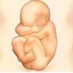 长沙三代试管助孕生双胞胎要花多少钱