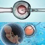 绍兴三代试管助孕供精生子费用贵吗