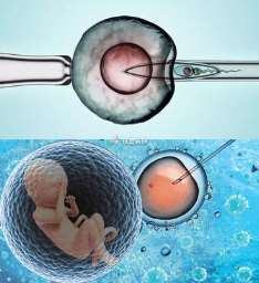 绍兴三代试管助孕供精生子费用贵吗
