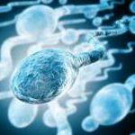 延安第三代试管全球排名 延安地区医院可以做试管吗