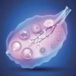 新加坡试管婴儿专科医院有哪些？新加坡可以做三代试管吗？