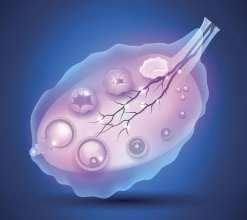 新加坡试管婴儿专科医院有哪些？新加坡可以做三代试管吗？