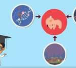 广东三代试管婴儿步骤及所需时间 广东三代试管婴儿步骤及所需时间