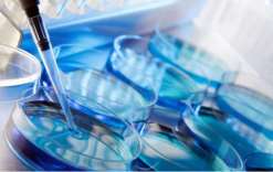 江门第三代试管能选择性别的医院？江门第三代试管能选择性别的医院吗？