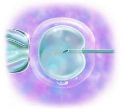 潜江三代试管性别_湖北三代试管哪家好