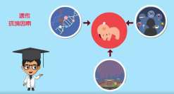 桂林三代试管比二代贵多少