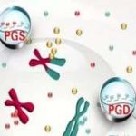 天津第三代试管婴儿包生男孩费用大概要多少钱？