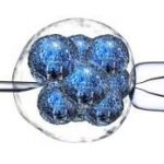 贵阳三代试管双胎成功率高吗,还是要做三代试管呢