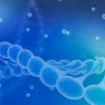 解读47岁高龄女性供卵试管成功率 解读47岁高龄女性供卵试管成功率