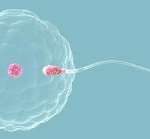 2023男方少弱精症可以做三代试管婴儿吗？附最新助孕费用成功率一览！