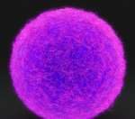 榆林第三代试管婴儿能决定男女 第三代试管男女