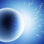 成都三代试管费用和成功率_正规助孕机构