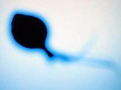 兰州2家公立三甲三代试管医院名单