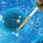 上海第三代试管婴儿包生男孩费用大概是多少？