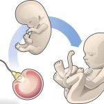 (花费明细)郑州第三代试管婴儿知名助孕机构