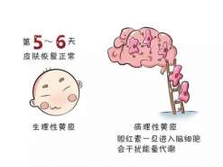 贵阳三代试管选性别多少钱_正规供卵试管机构