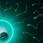 湖南中信湘雅医院三代试管包生男孩价格多少？