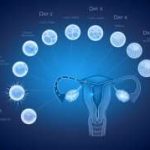 柬埔寨红斑狼疮试管成功率高吗