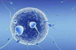 广东省妇幼做三代试管有多贵