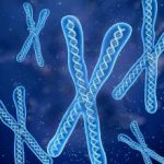 天津三代试管包生男孩医院排名? 天津三代试管包生男孩医院排名?