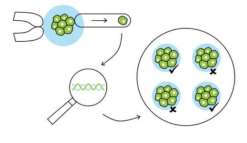 吉林三代试管婴儿私人生孩子医院正规吗