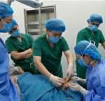 三门峡三代试管包生男孩