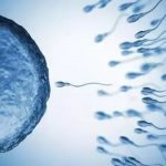 泰国三代试管费用总共多少 泰国三代试管费用总共多少钱一次