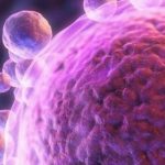 上海试管费用及流程是怎么样的