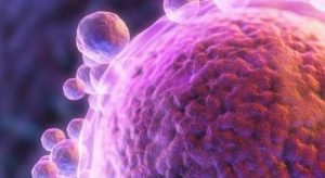 上海试管费用及流程是怎么样的