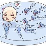 美国三代试管男女准确率