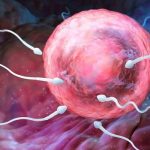 呼和浩特卵泡不好能做试管吗