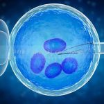 美国三代试管助孕借卵生子公司正规吗