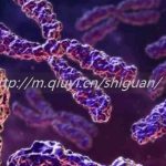 南宁三代试管婴儿借卵生子结构排行榜前十