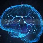 全国十大私立试管医院排名,这几家三代试管机构别错过