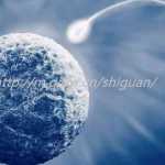 2023两个女孩子可以通过三代试管婴儿供卵生子吗 2023两个女孩子可以通过三代试管婴儿供卵生子吗