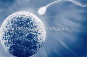 2023两个女孩子可以通过三代试管婴儿供卵生子吗