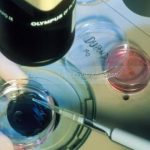 2023年在广州私人机构做三代供卵试管费用一览 2023年在广州私人机构做三代供卵试管费用一览