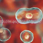 常德三代试管成功率是多少费用多少？常德哪里可以做试管婴儿