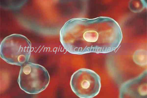 常德三代试管成功率是多少费用多少？常德哪里可以做试管婴儿