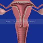 玉林三代试管婴儿供卵生孩子机构合法吗