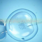 兰州三代试管助孕捐卵试管生孩子公司有哪些名单