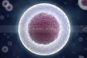 染色体平衡易位能通过三代试管包成功吗，是真的吗