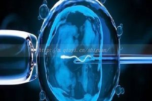 云南省三代试管婴儿供卵生孩子公司合法吗