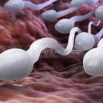 渭南三代试管助孕公司有哪些-渭南三代试管助孕公司