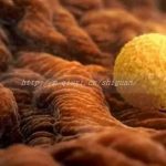 济宁哪家医院做试管好_济宁三代试管在哪里做最好